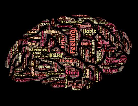 Las funcionalidades del cerebro