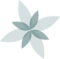 Eugenia Duarte Psicóloga y Psicoterapia Logo